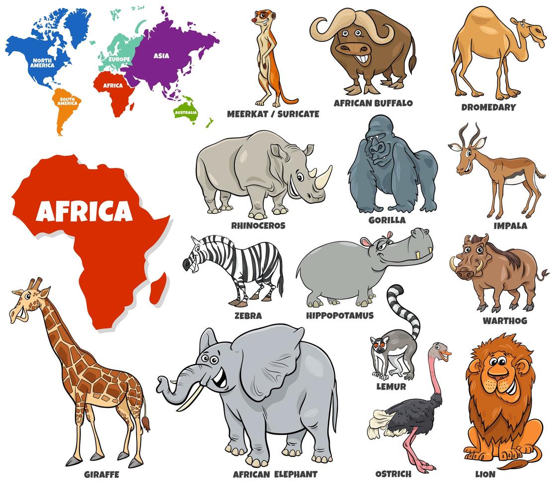 conjunto educativo de animales africanos vector