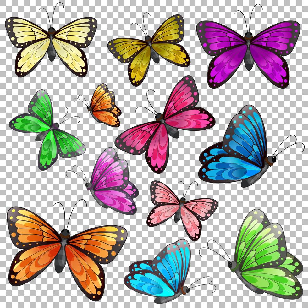 conjunto de diferentes mariposas sobre fondo transparente vector