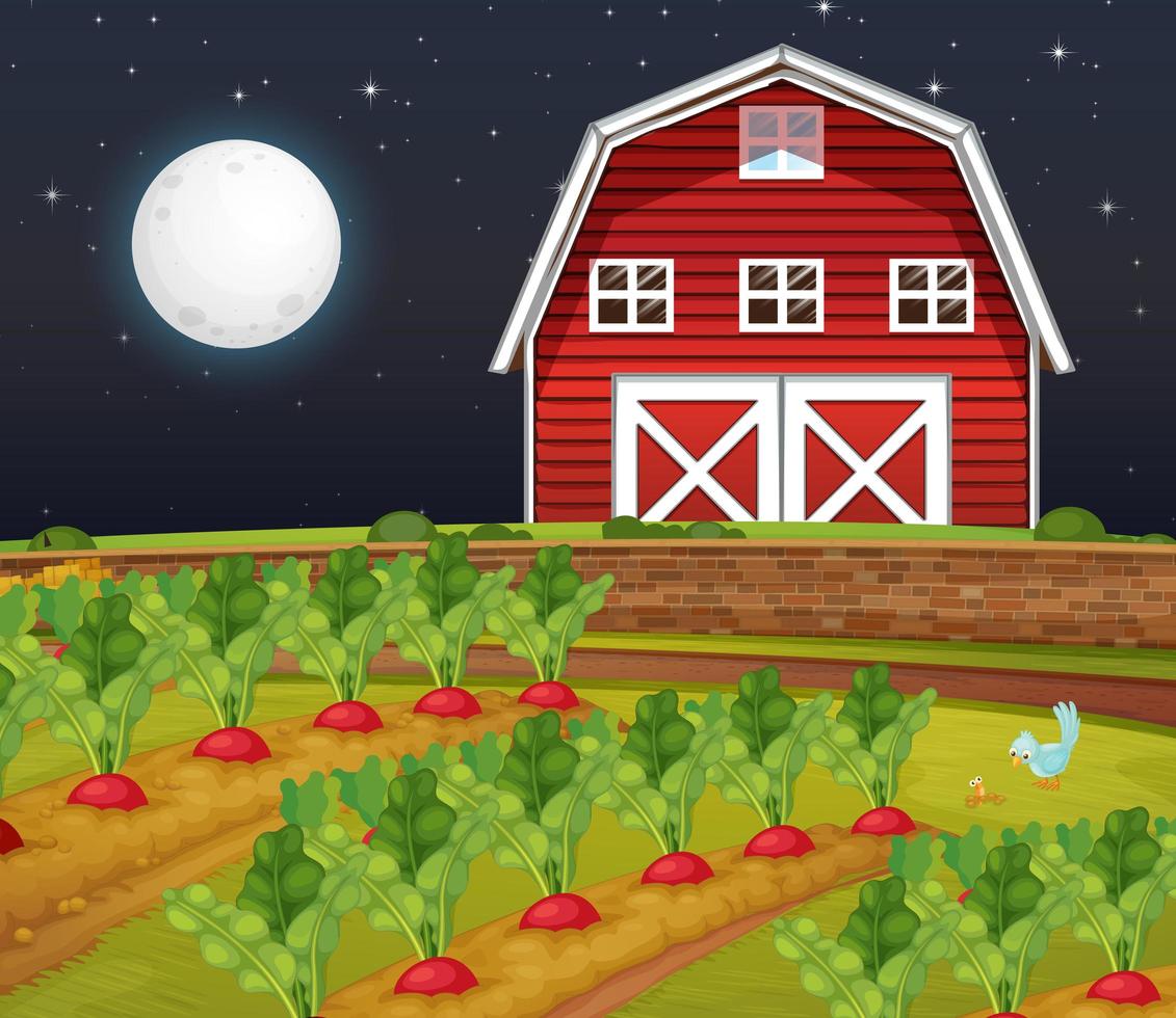 Farm scene with barn and carrot farm at night vector