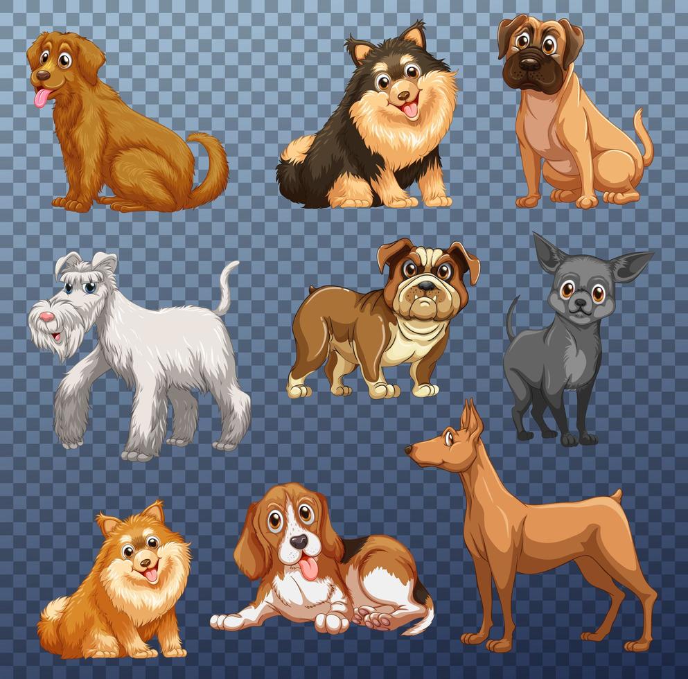 conjunto de diferentes perros aislados vector