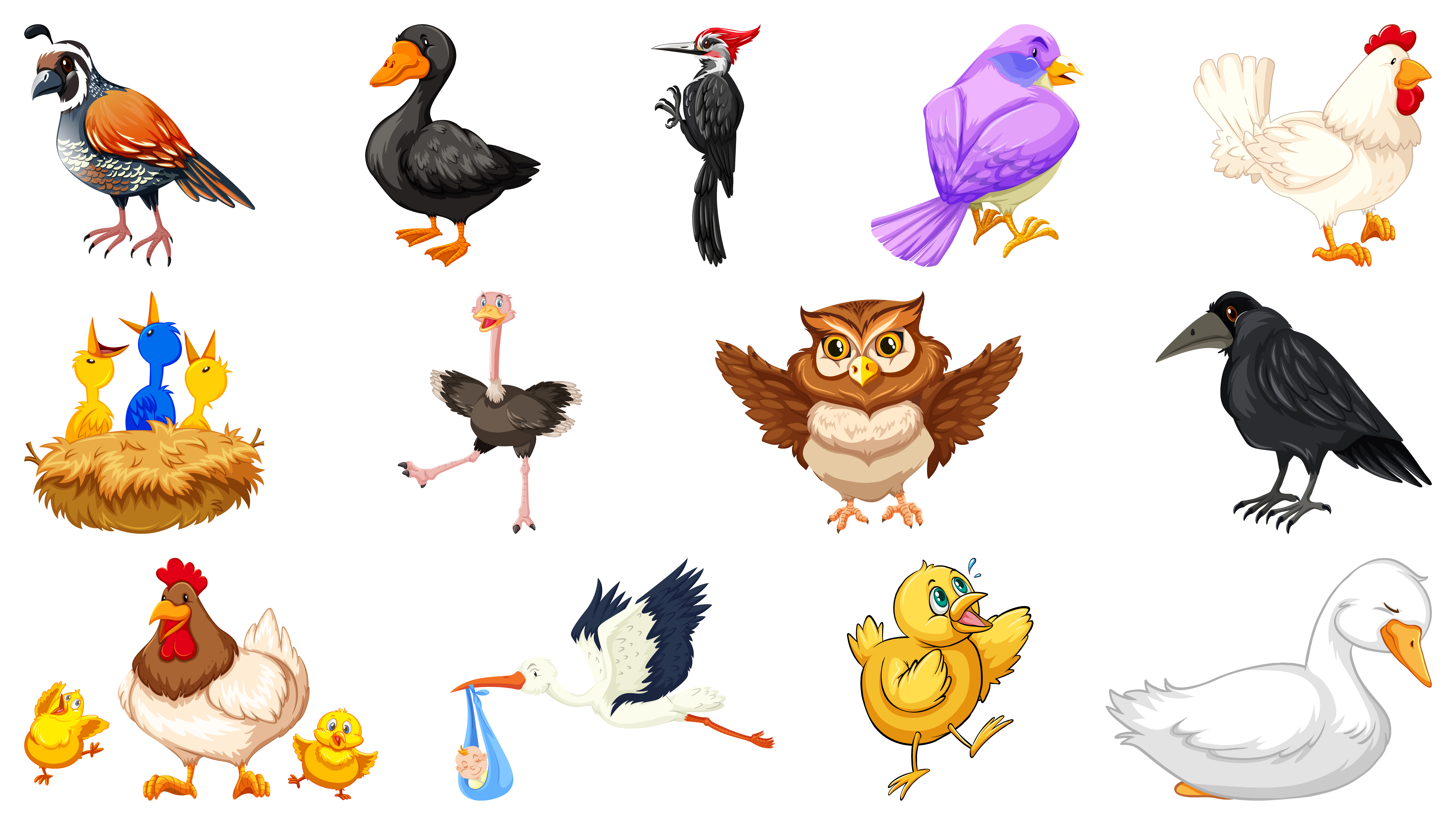 Set of different birds cartoon style isolated on white background 1778092  Vector Art at Vecteezy