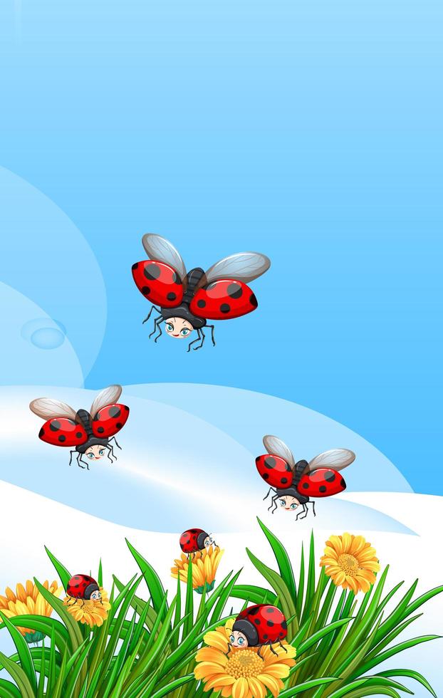 Blank scene with ladybugs in the garden with some flowers at daytime vector