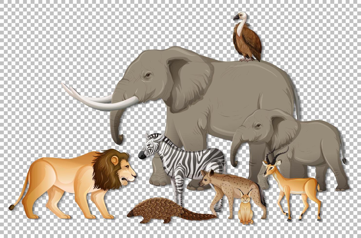 grupo de animales salvajes africanos sobre fondo transparente vector