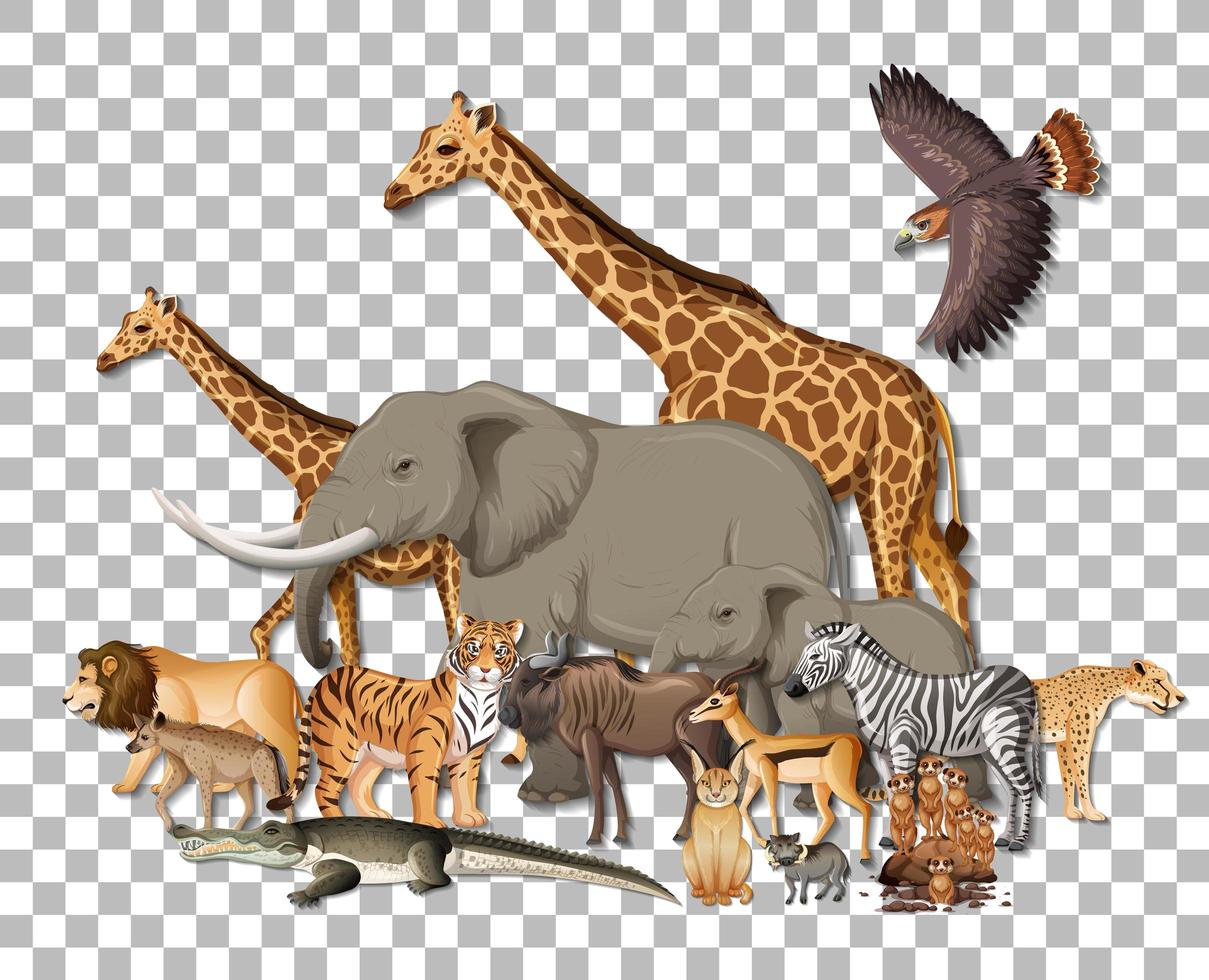 Group of wild african animals on transparent background vector