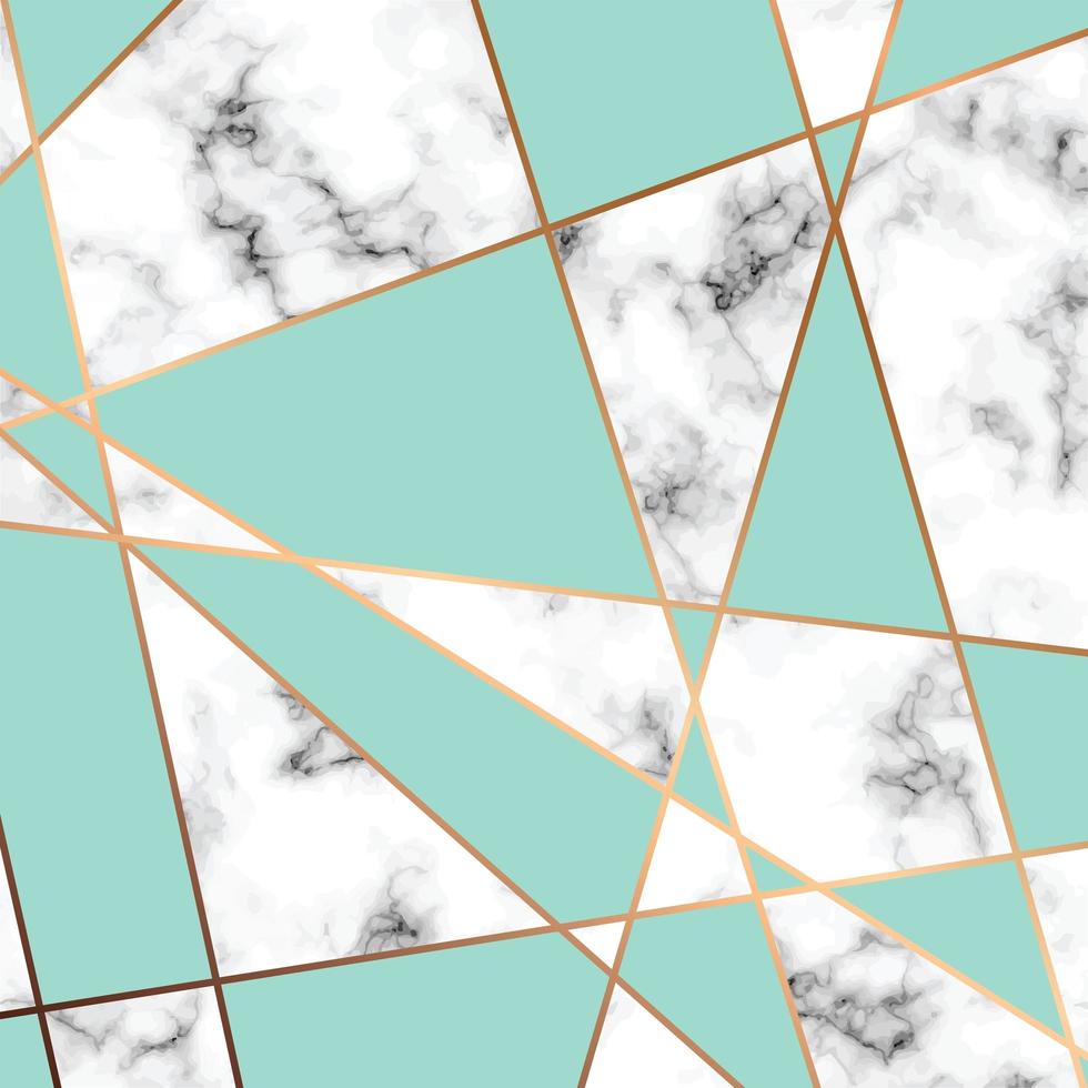 Marble texture design with golden geometric lines vector