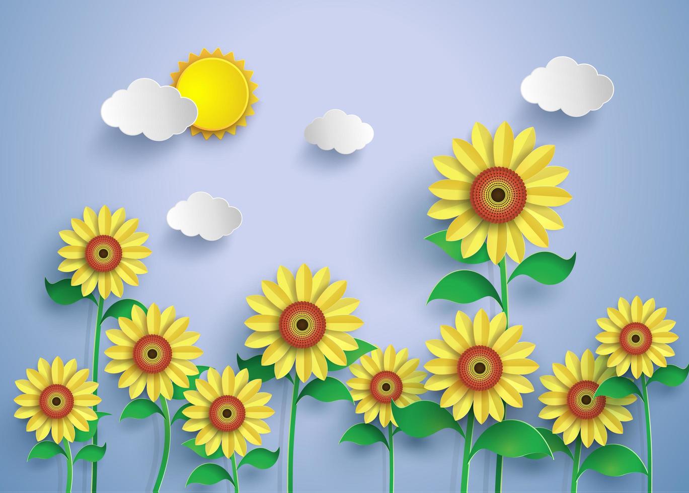 Field of sunflowers vector