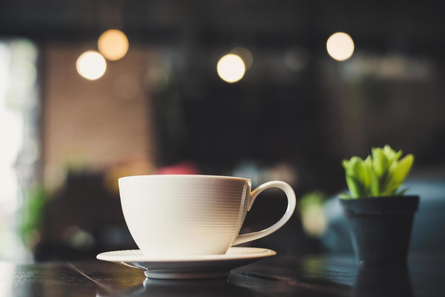 Coffee cup with cactus on wood table photo