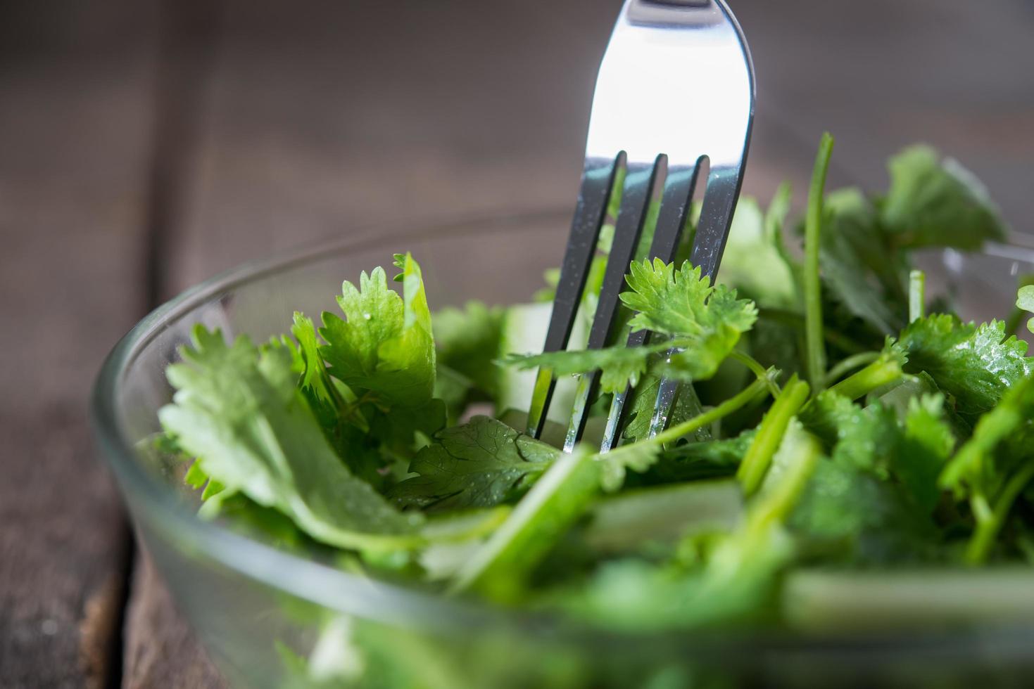 Fresh cilantro with cucumber and onion photo