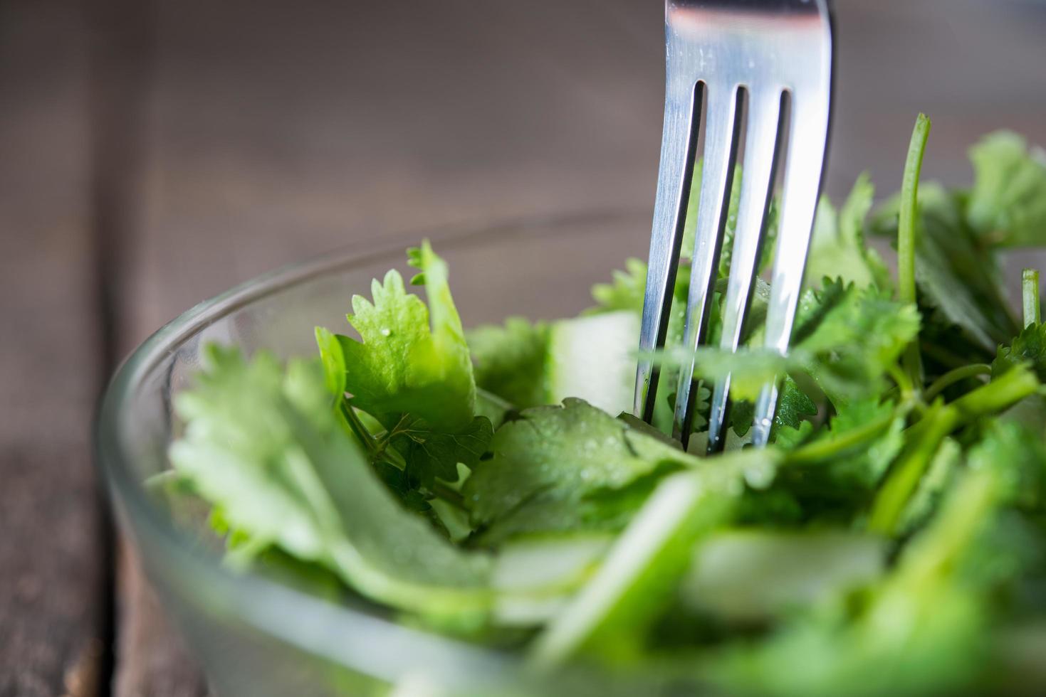 Fresh cilantro with cucumber and onion photo