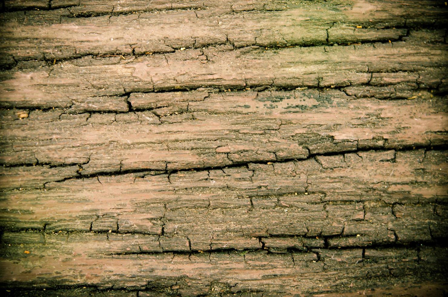 primer plano, de, un, superficie de madera foto