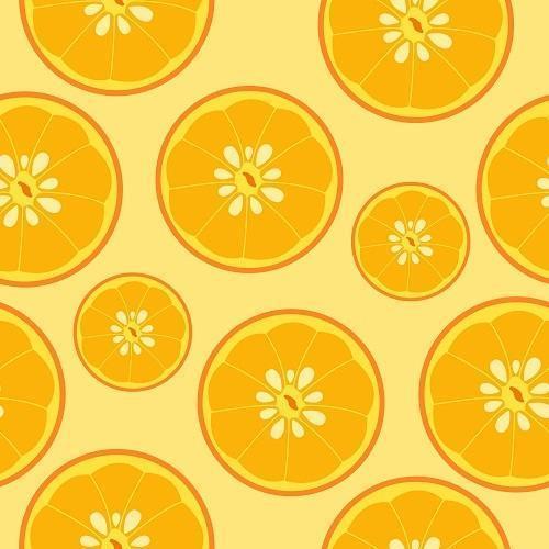 Rodajas de naranja patrón de fondo transparente de frutas vector