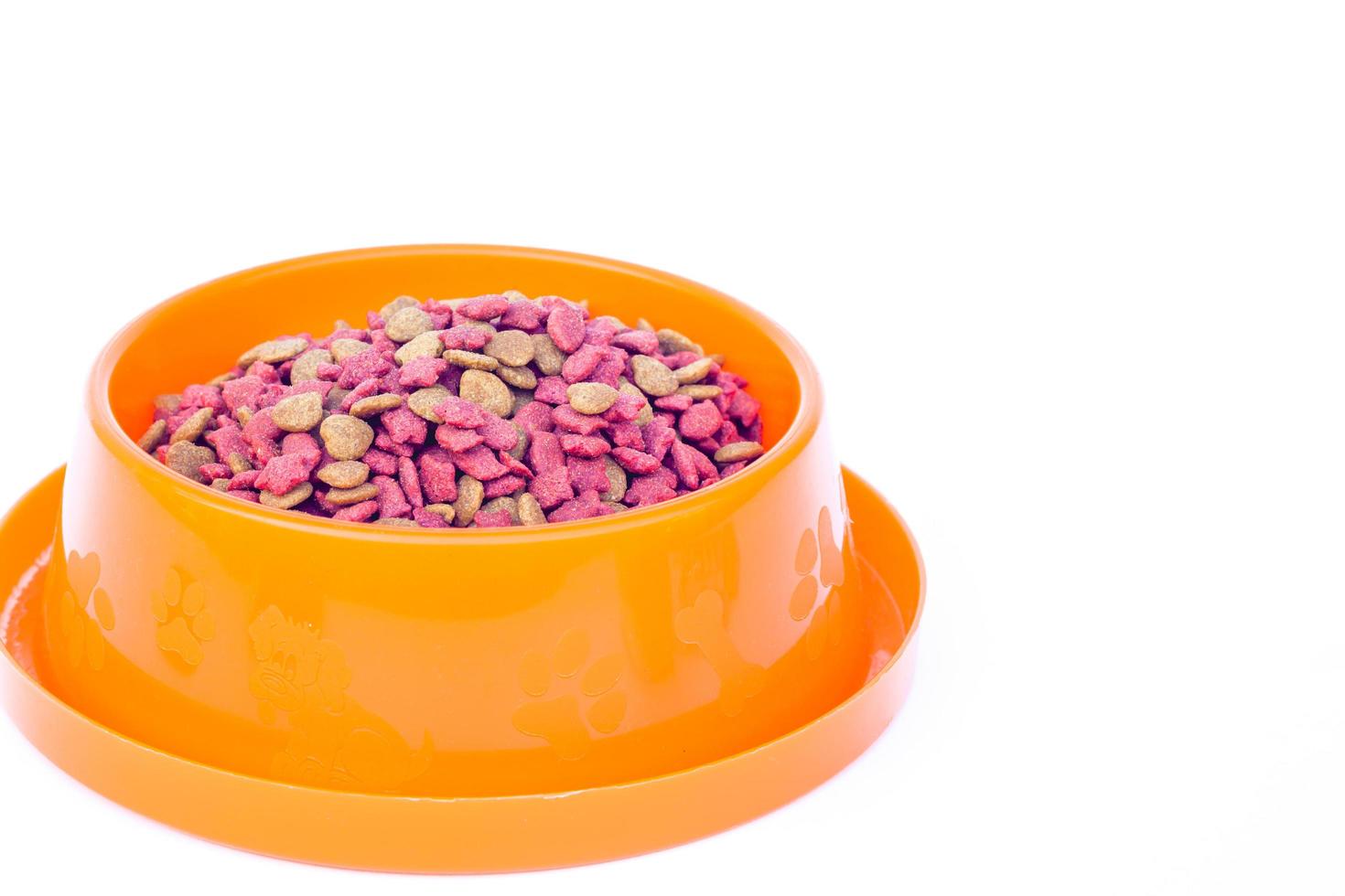 comida seca para gatos en un tazón de naranja foto