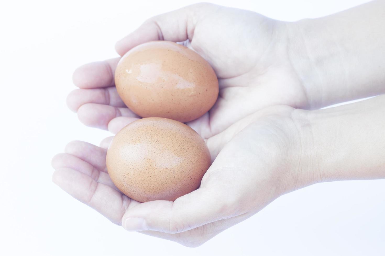 Hands holding eggs photo