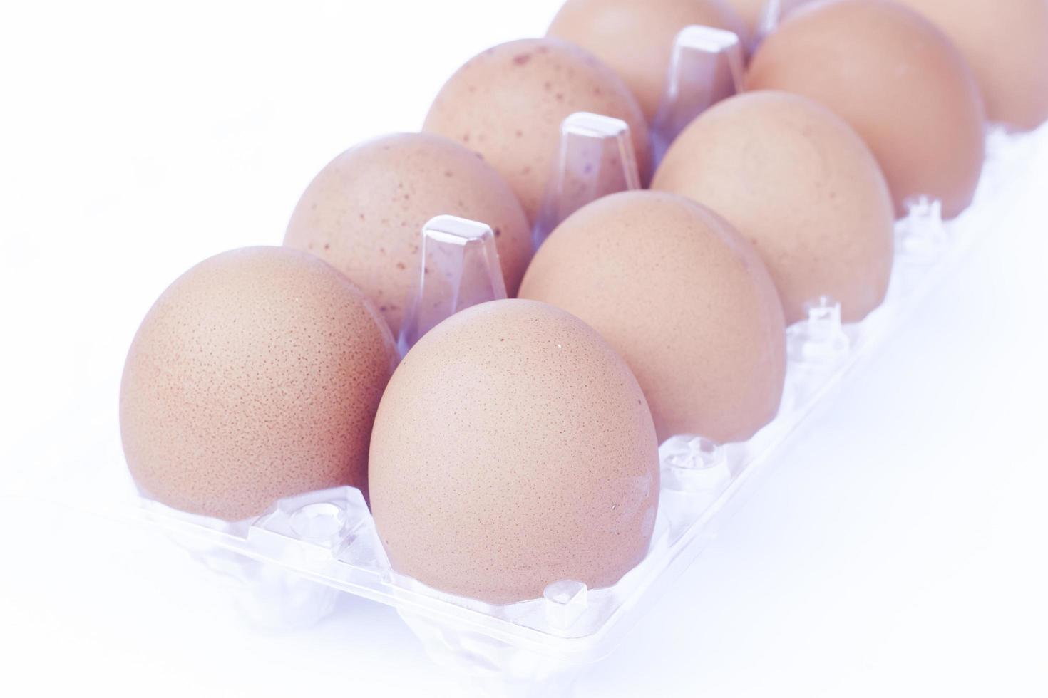 huevos marrones en una caja de plástico foto