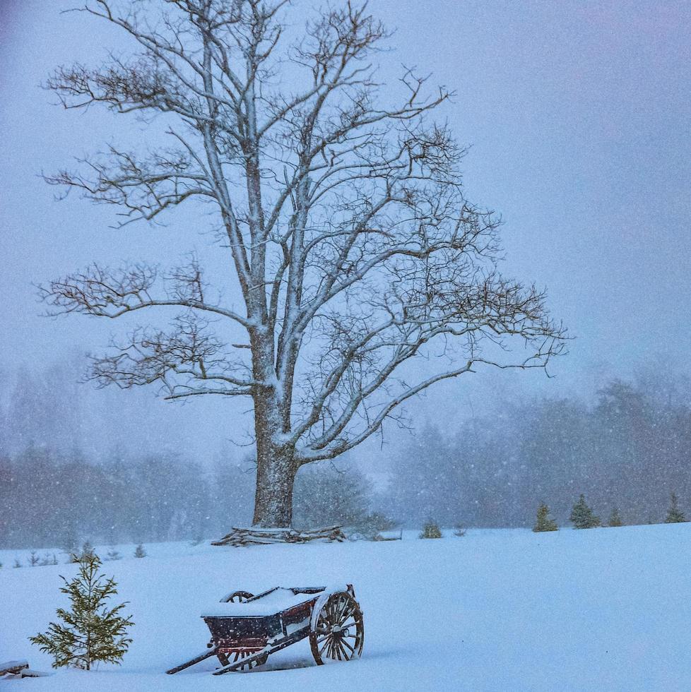 Winter snow storm photo