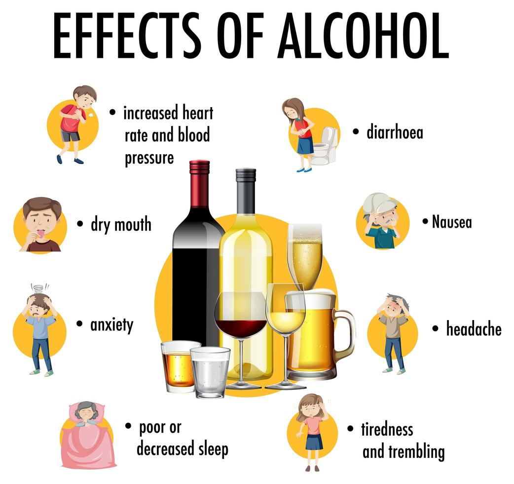 Effects of alcohol information infographic vector