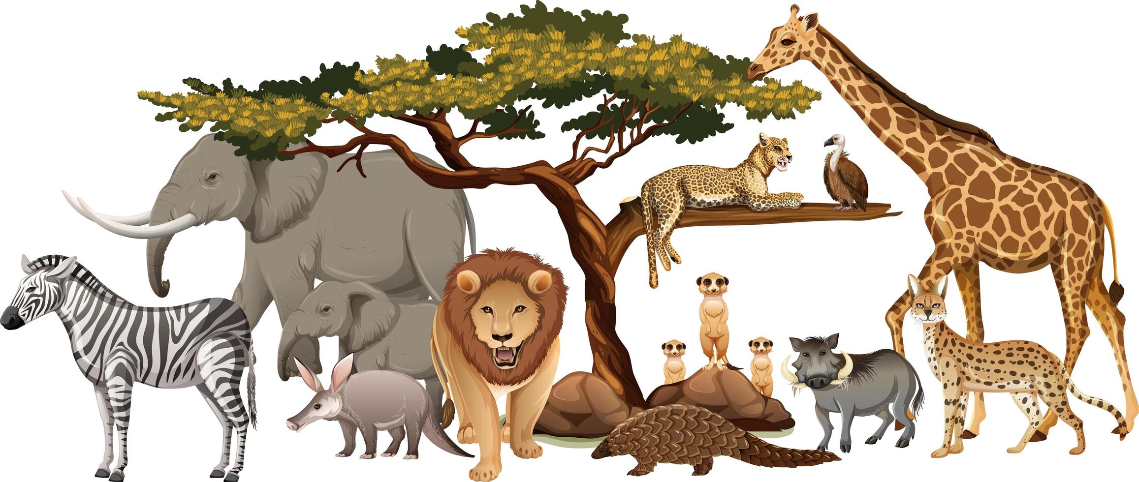 Grupo de animales salvajes africanos sobre fondo blanco. vector