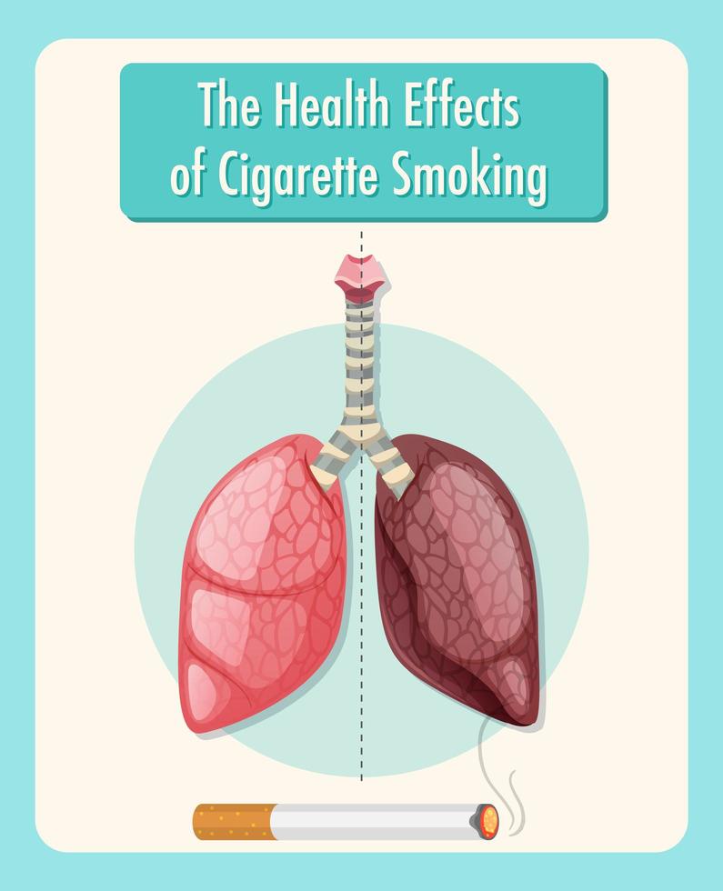 cartel sobre los efectos del tabaquismo en la salud vector