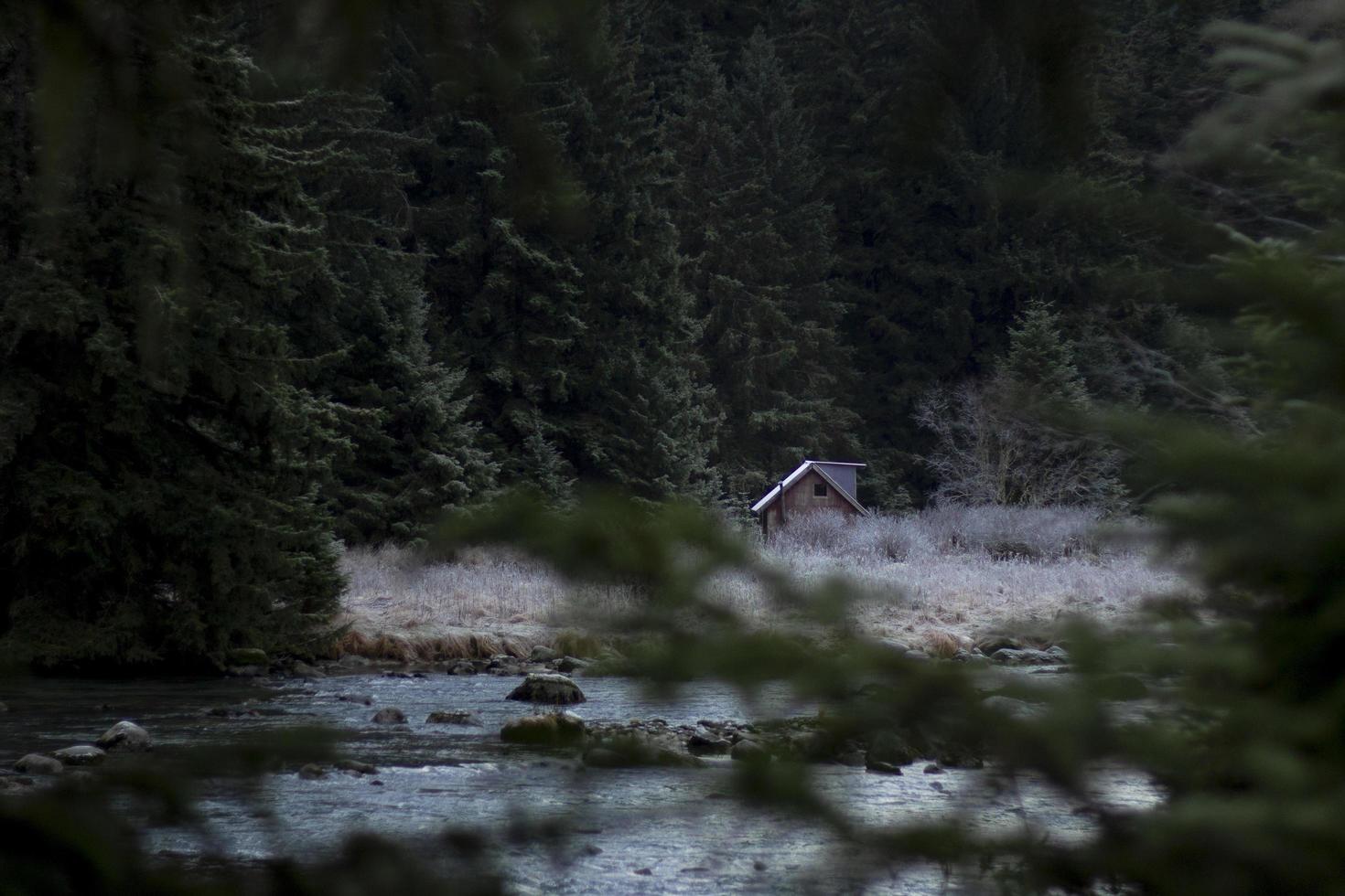 Cabin on the river photo