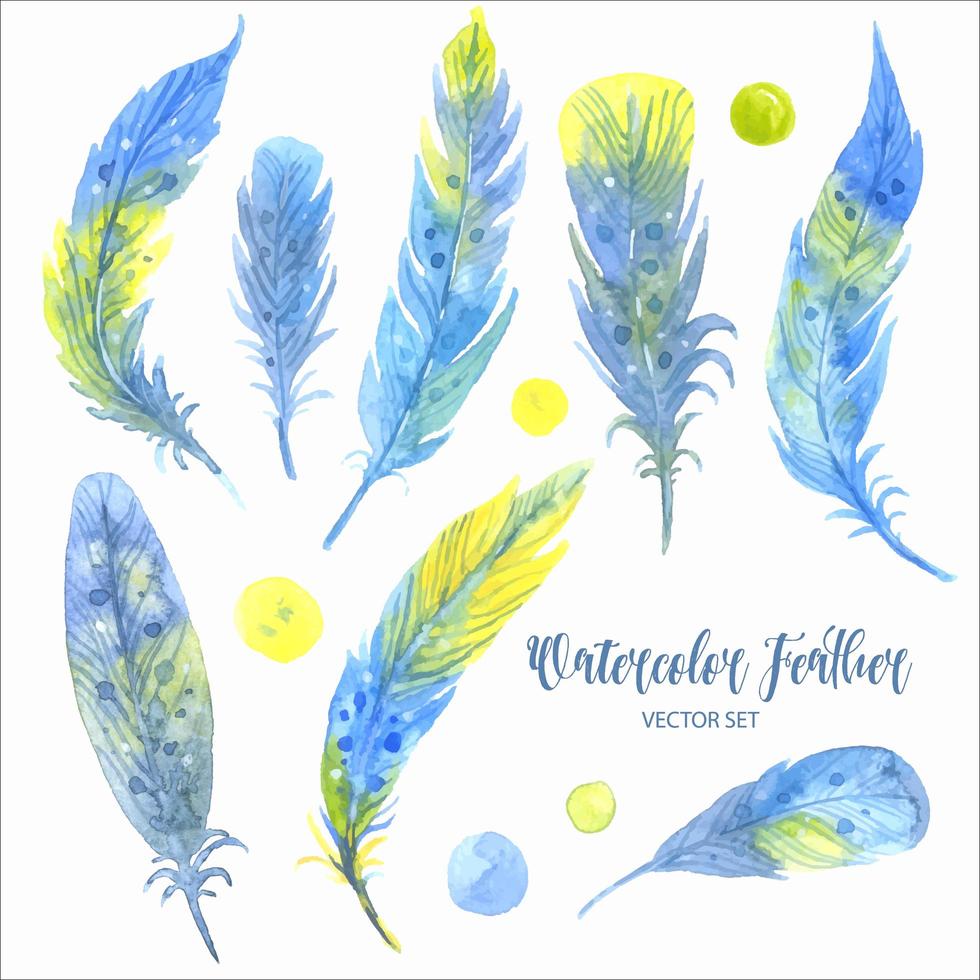 Watercolor blue feather set vector