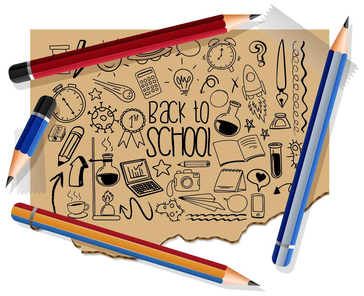 Hand drawn school elements on paper with many pencils vector