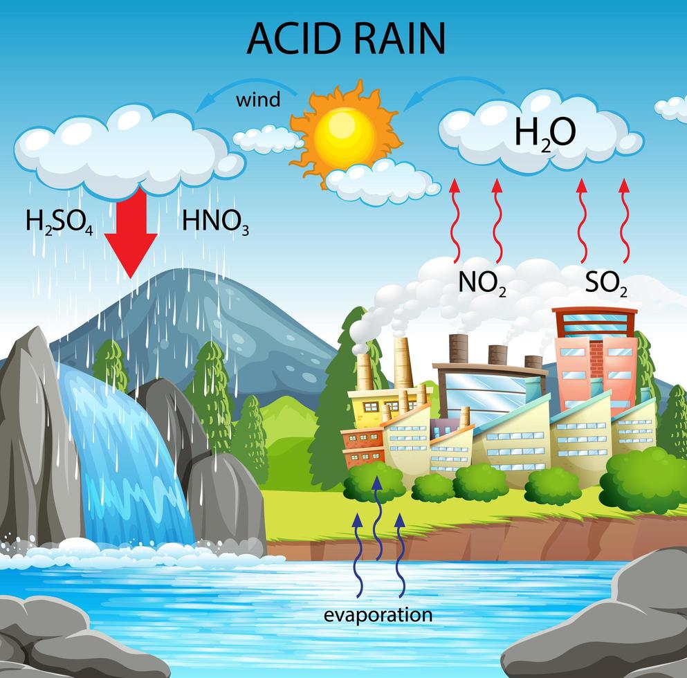 Diagram showing acid rain pathway vector