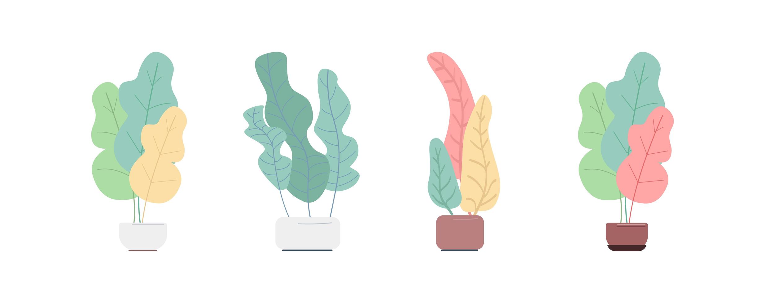 Plant in pot flat color vector objects set