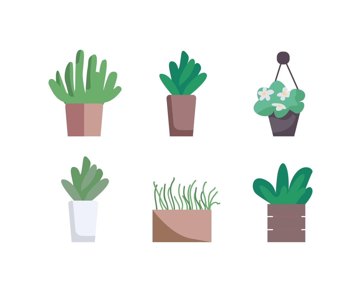 Houseplants flat color vector object set