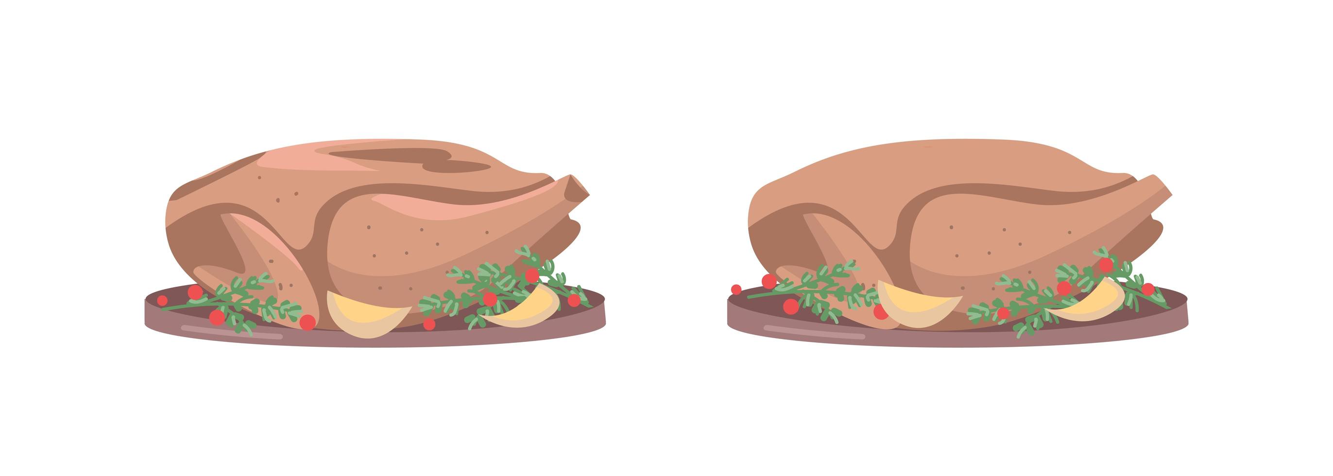 Roasted turkey vector object set