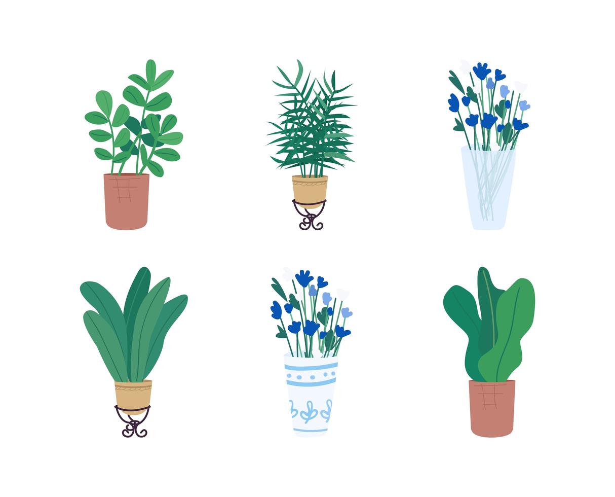 conjunto de objetos vectoriales planos homeplants vector