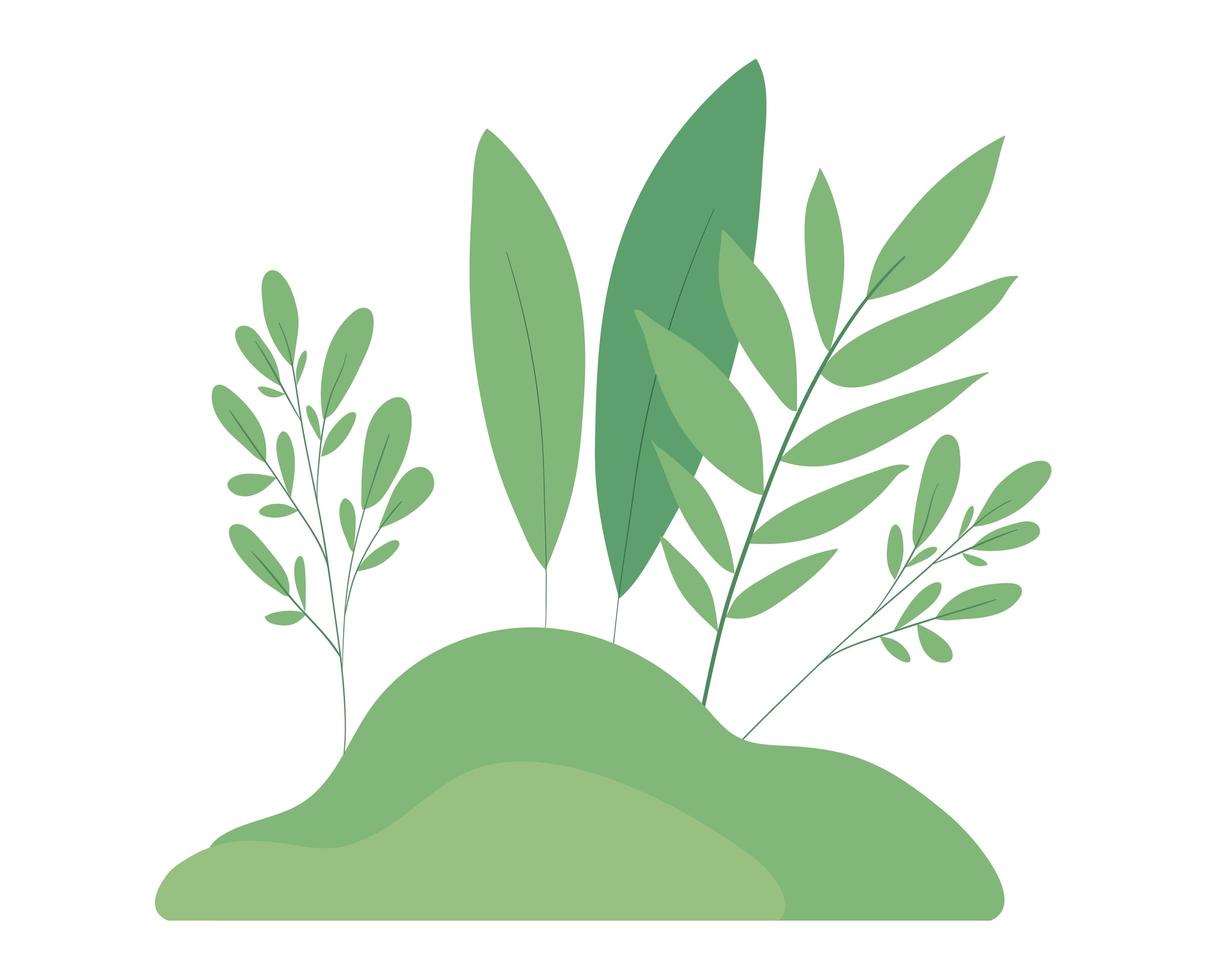 Isolated leaves vector design