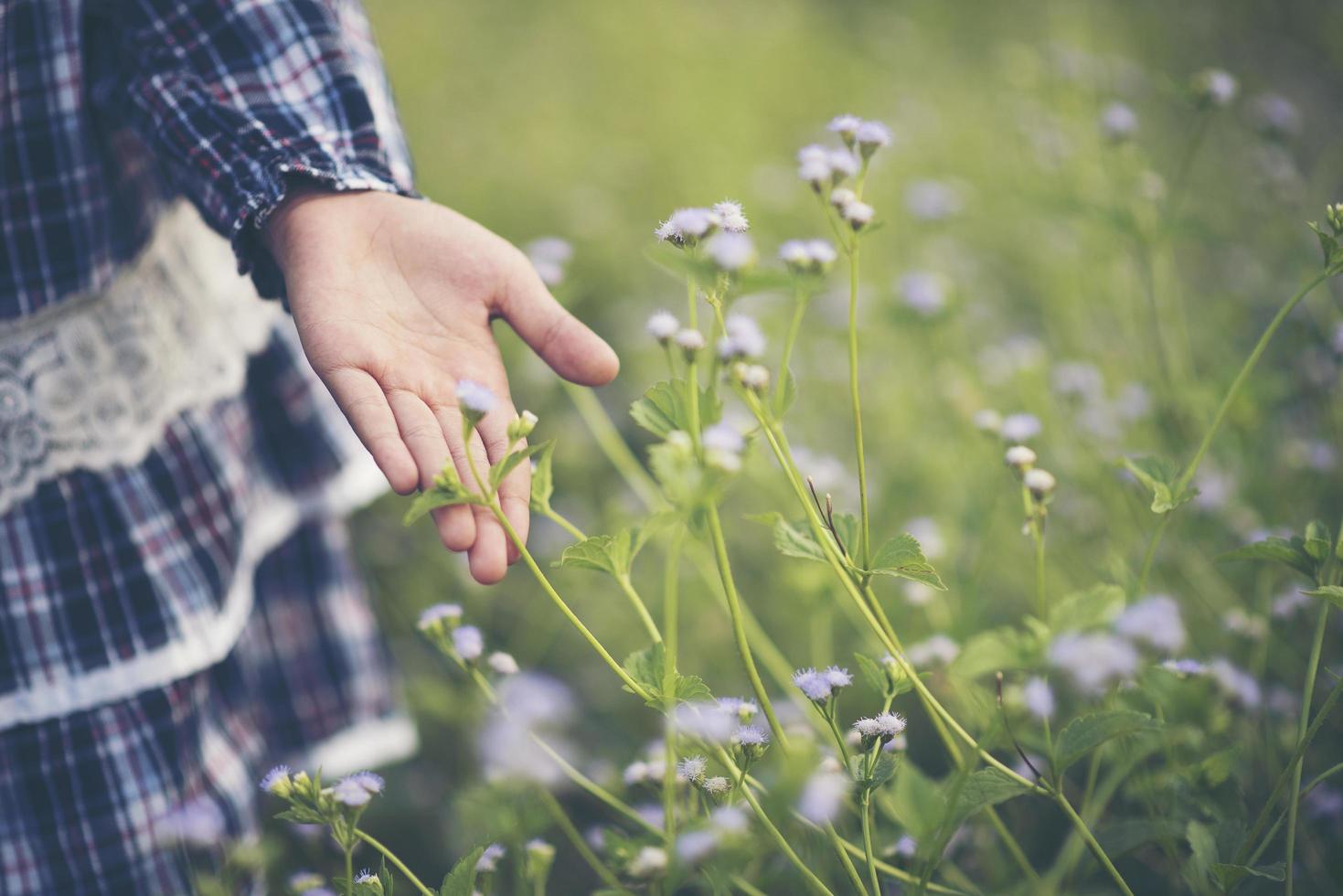 Primer plano de la mano de una niña tocando flores silvestres foto