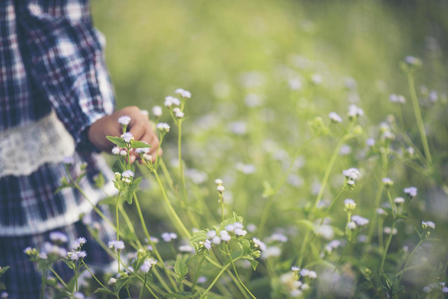 Primer plano de la mano de una niña tocando flores silvestres foto