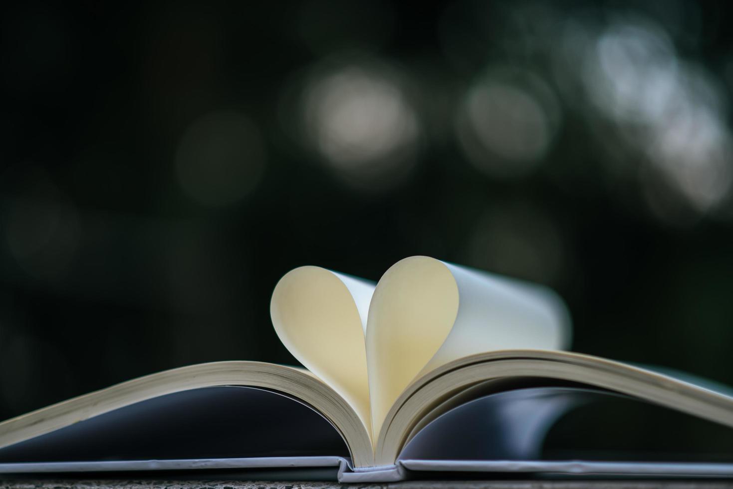 libro abierto con forma de corazón foto