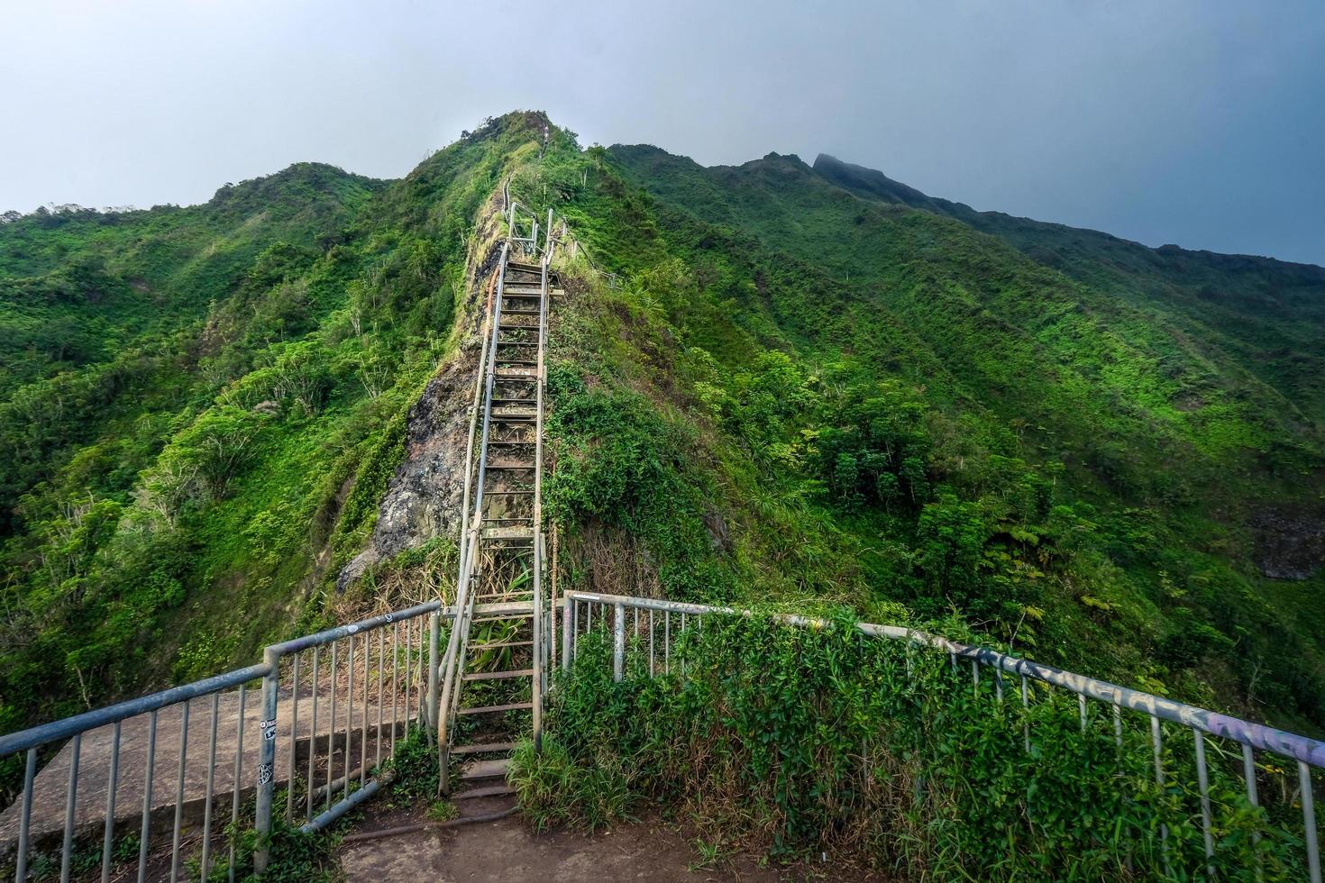 Long wooden ladder going to the mountain peak photo