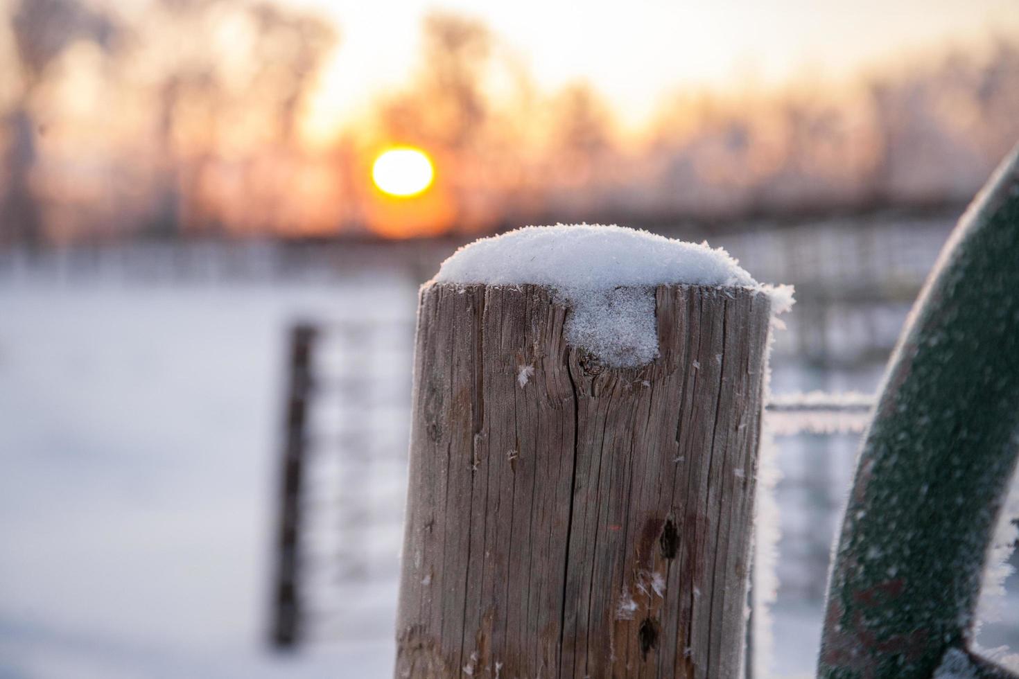 Snow on a post at sunrise photo