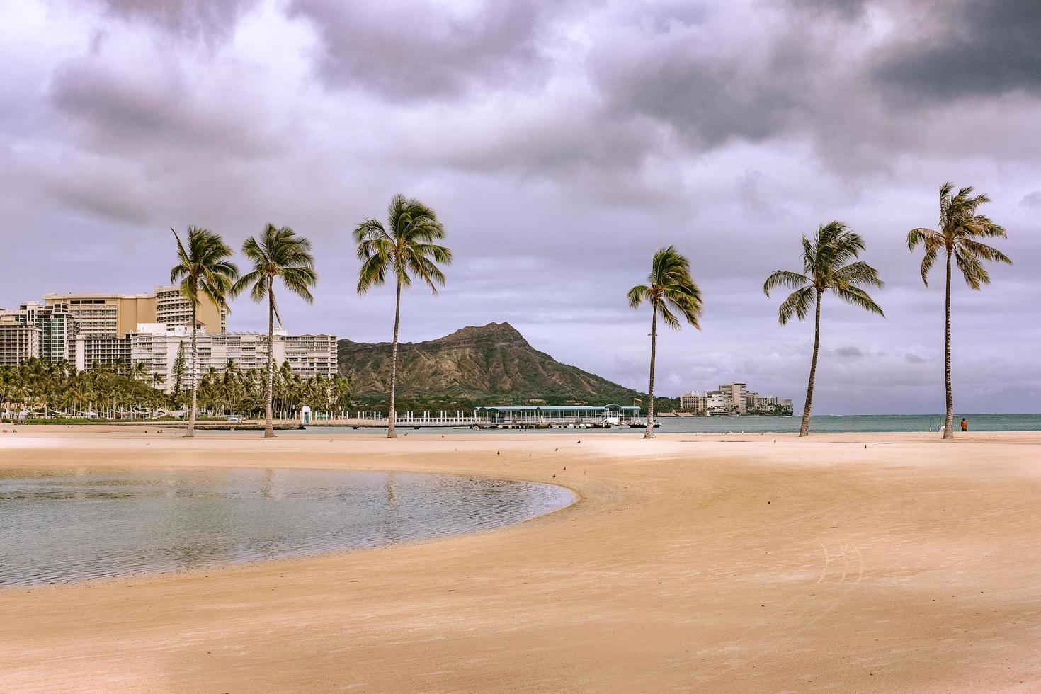 people walking on beach during daytime photo