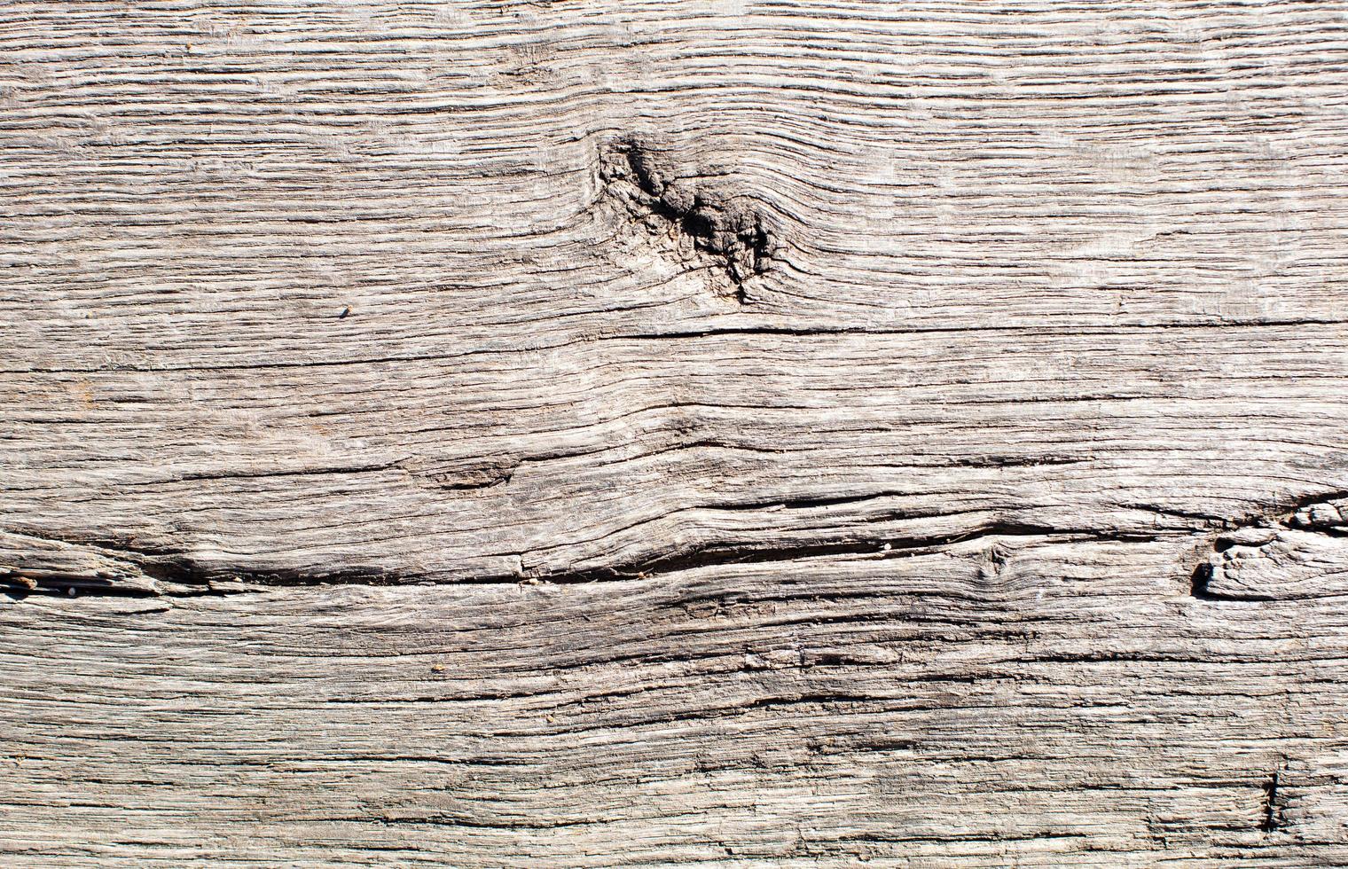 textura de grano de madera foto