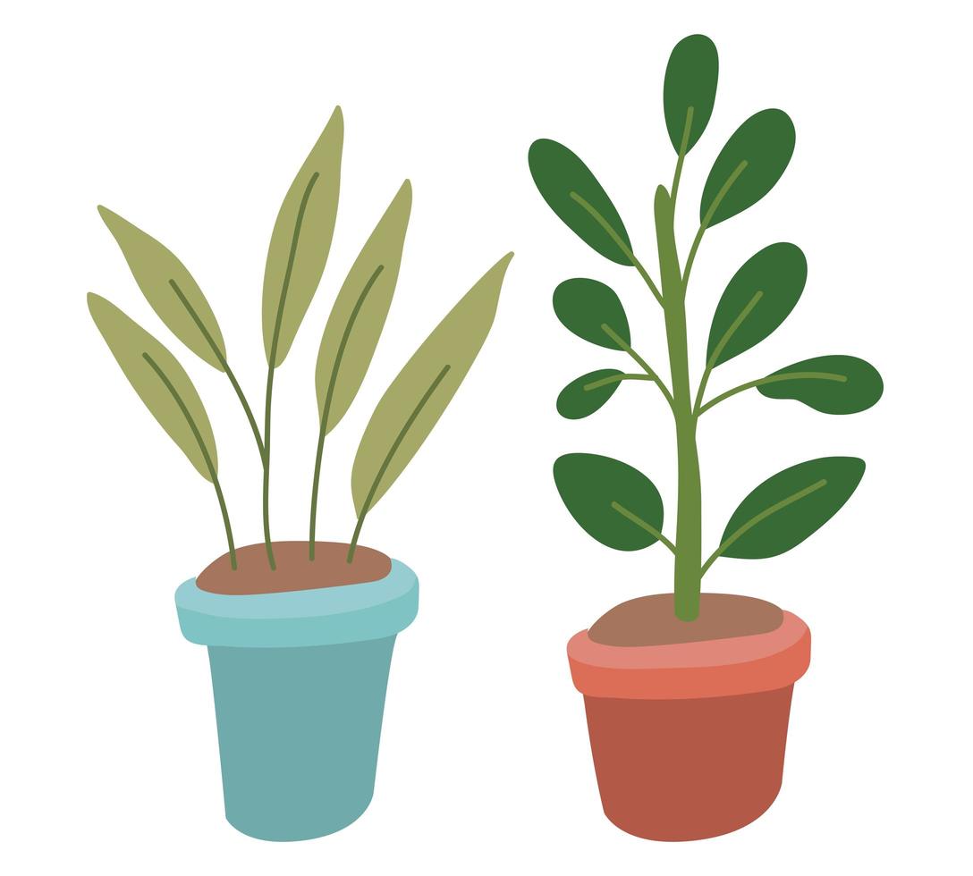 Plantas aisladas dentro de macetas de diseño vectorial vector