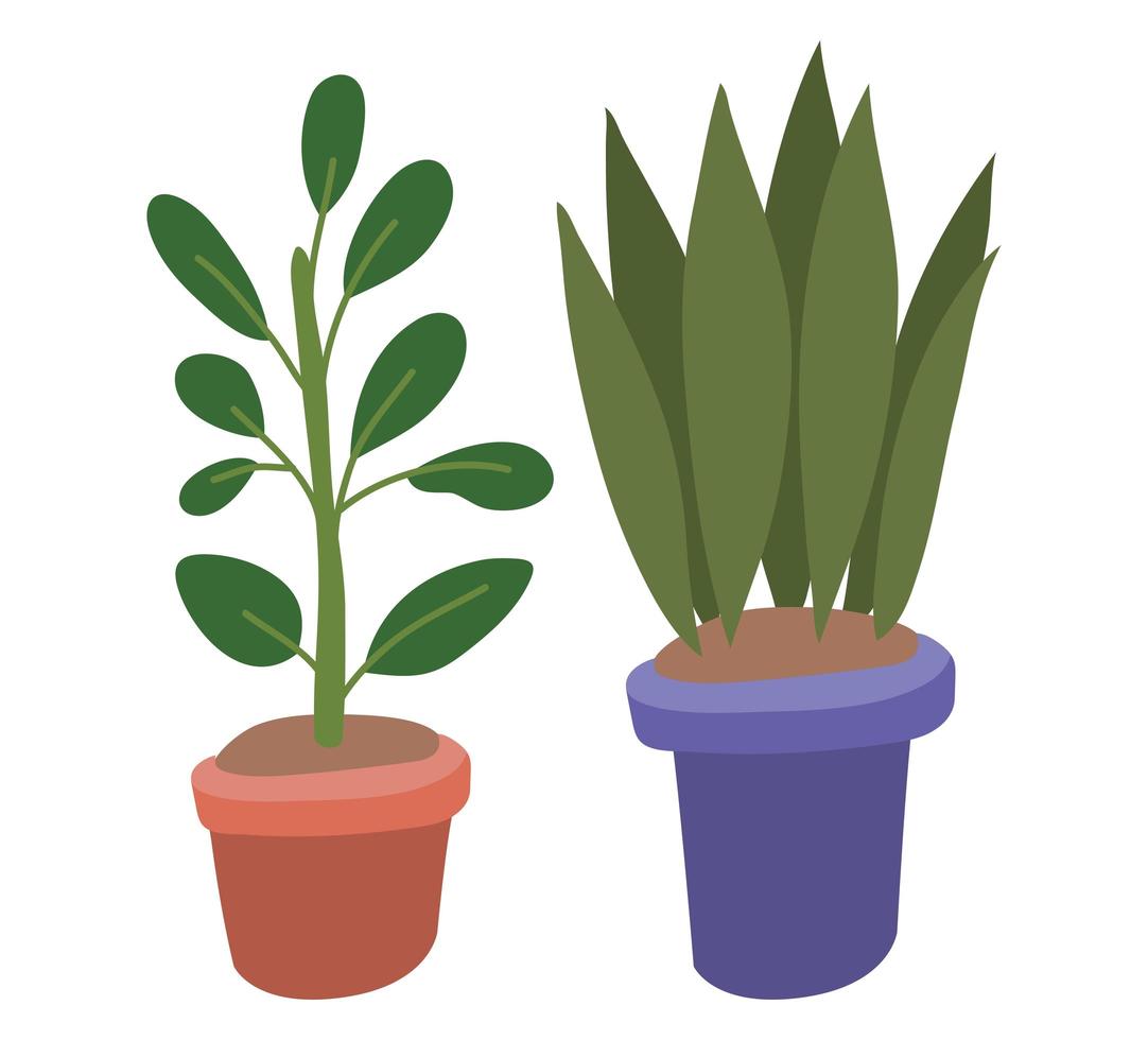 Isolated plants inside pots vector design