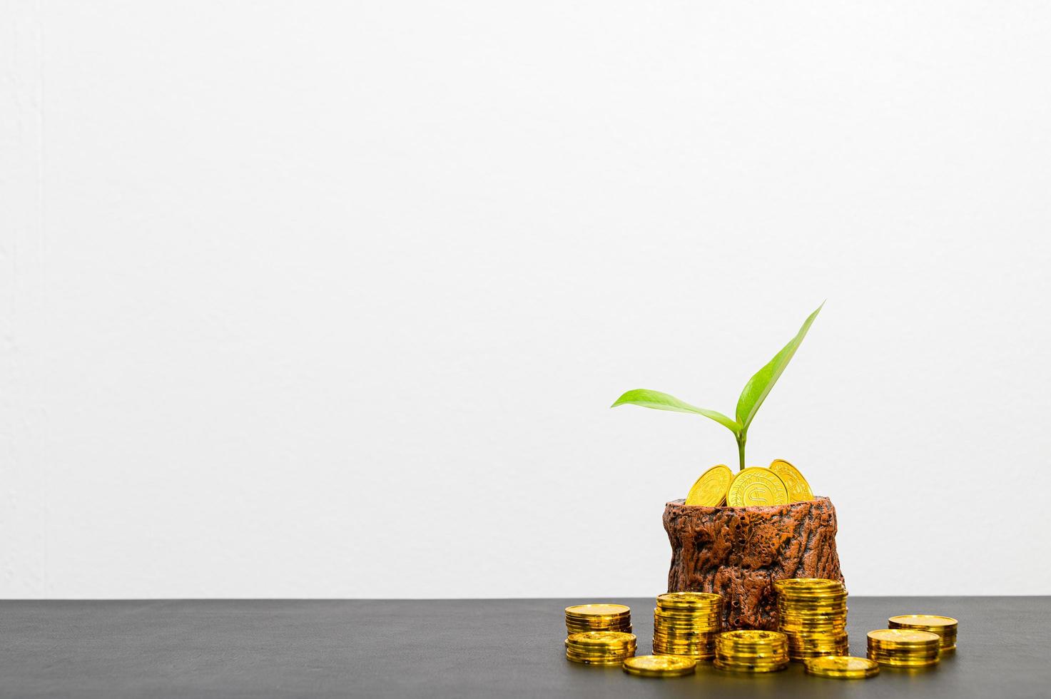 Concept of financial growth photo