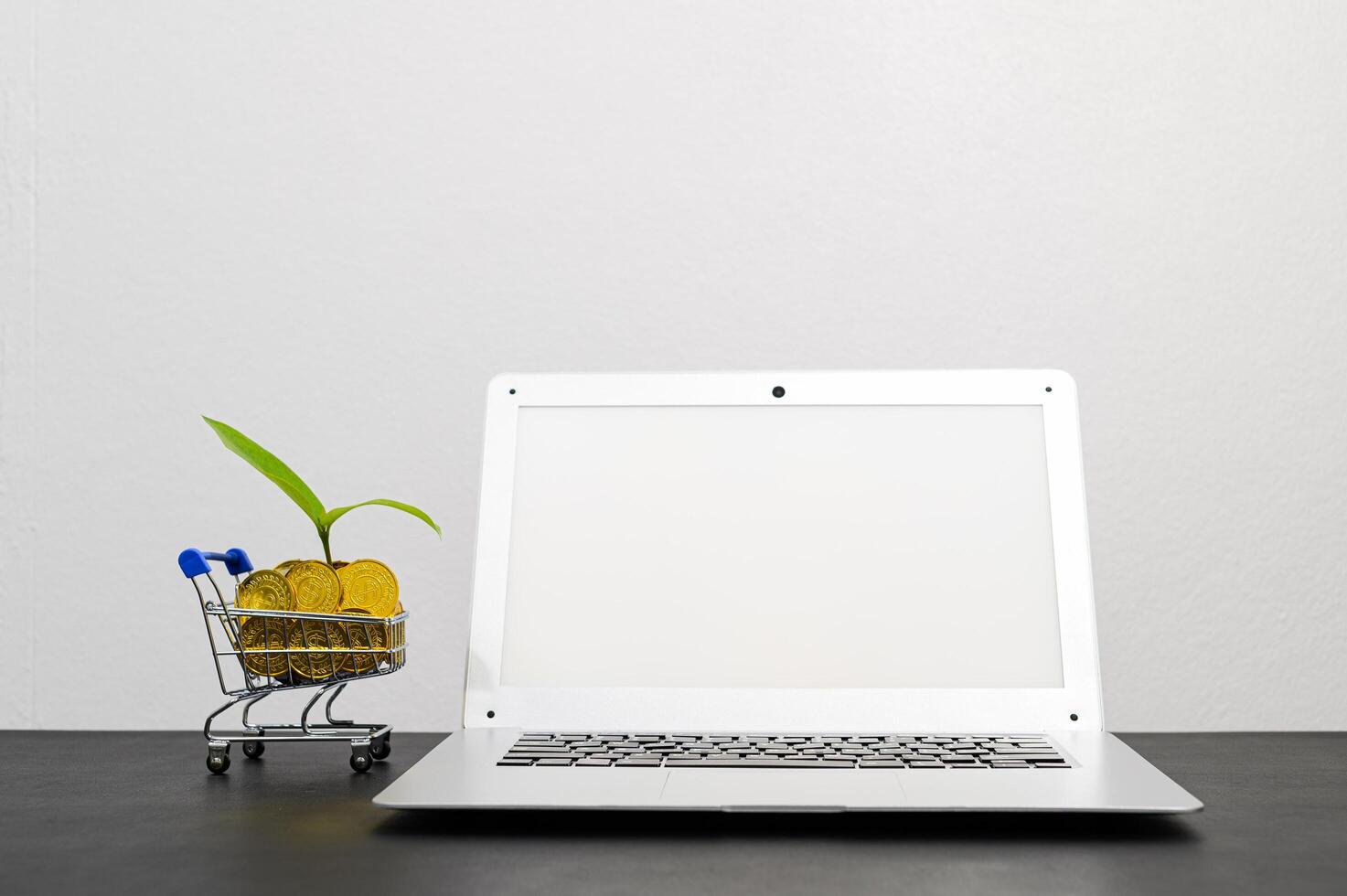Concept of financial growth with laptop photo