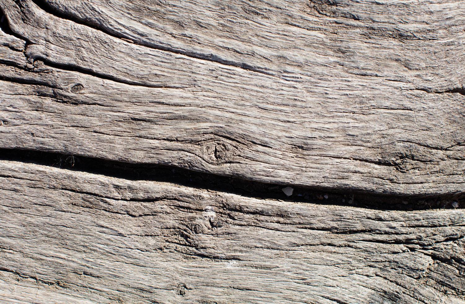 textura de grano de madera foto