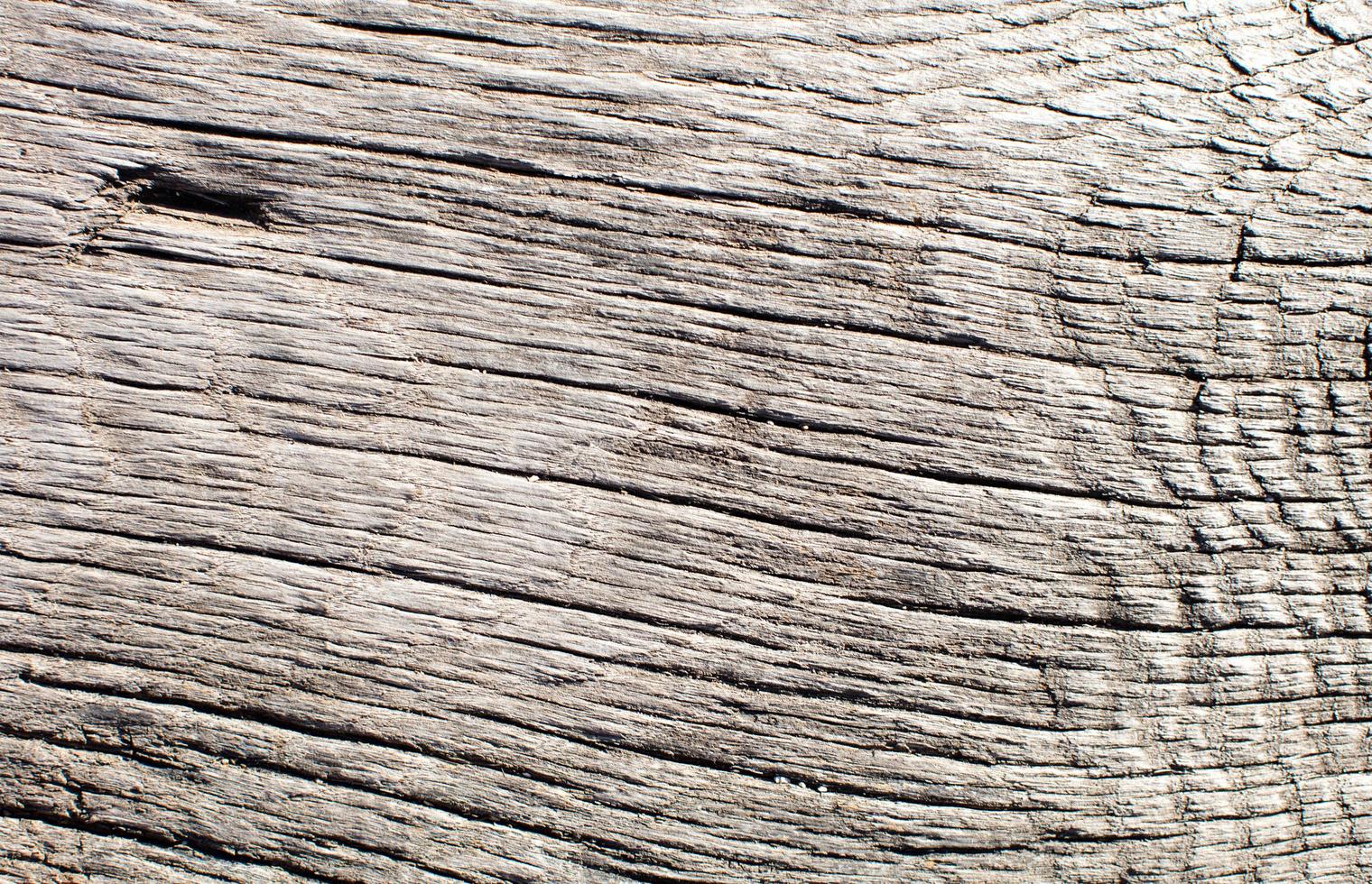 textura de grano de madera foto