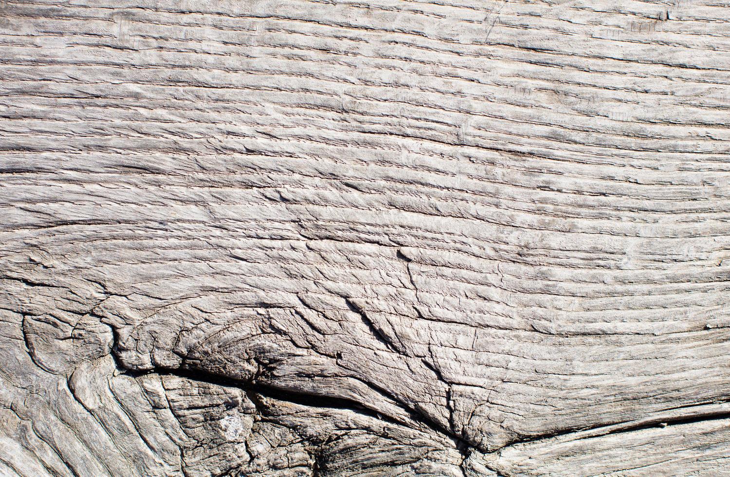 Wooden warm texture photo