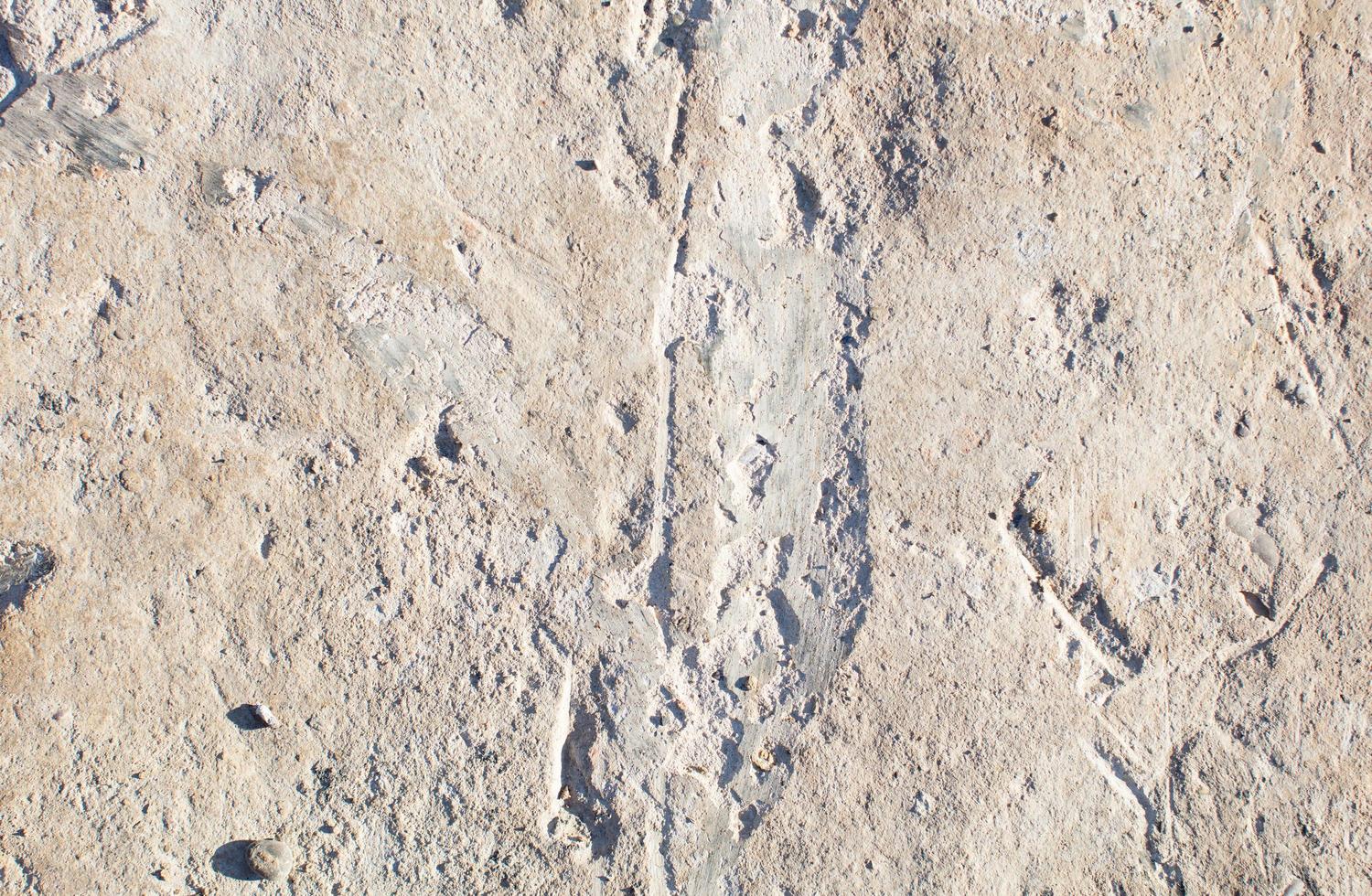 Stone wall texture photo