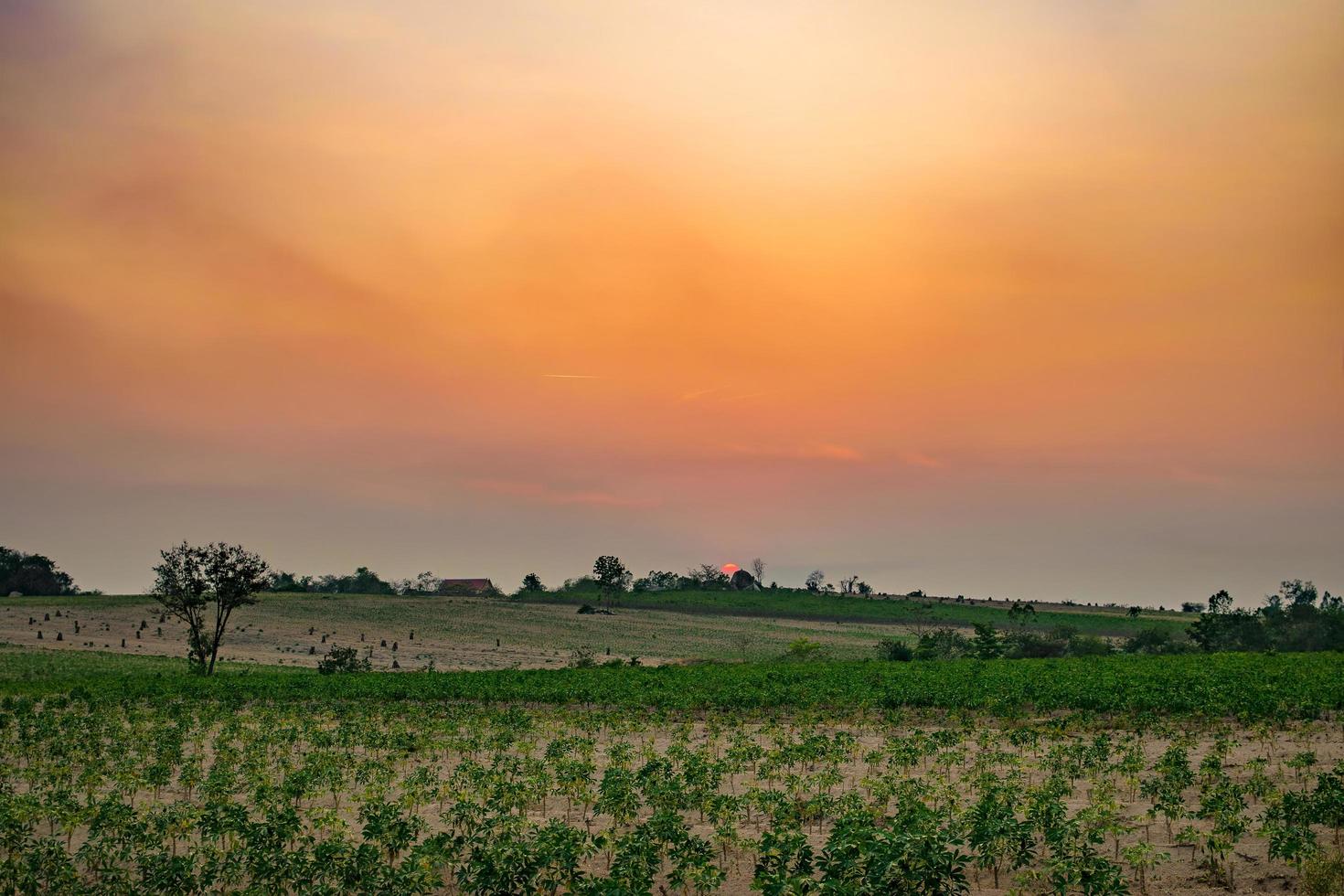 paisaje al atardecer foto