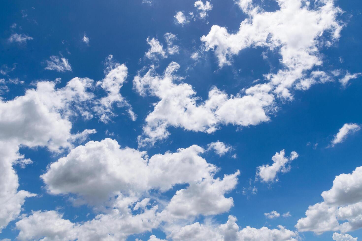 Sky with white clouds photo