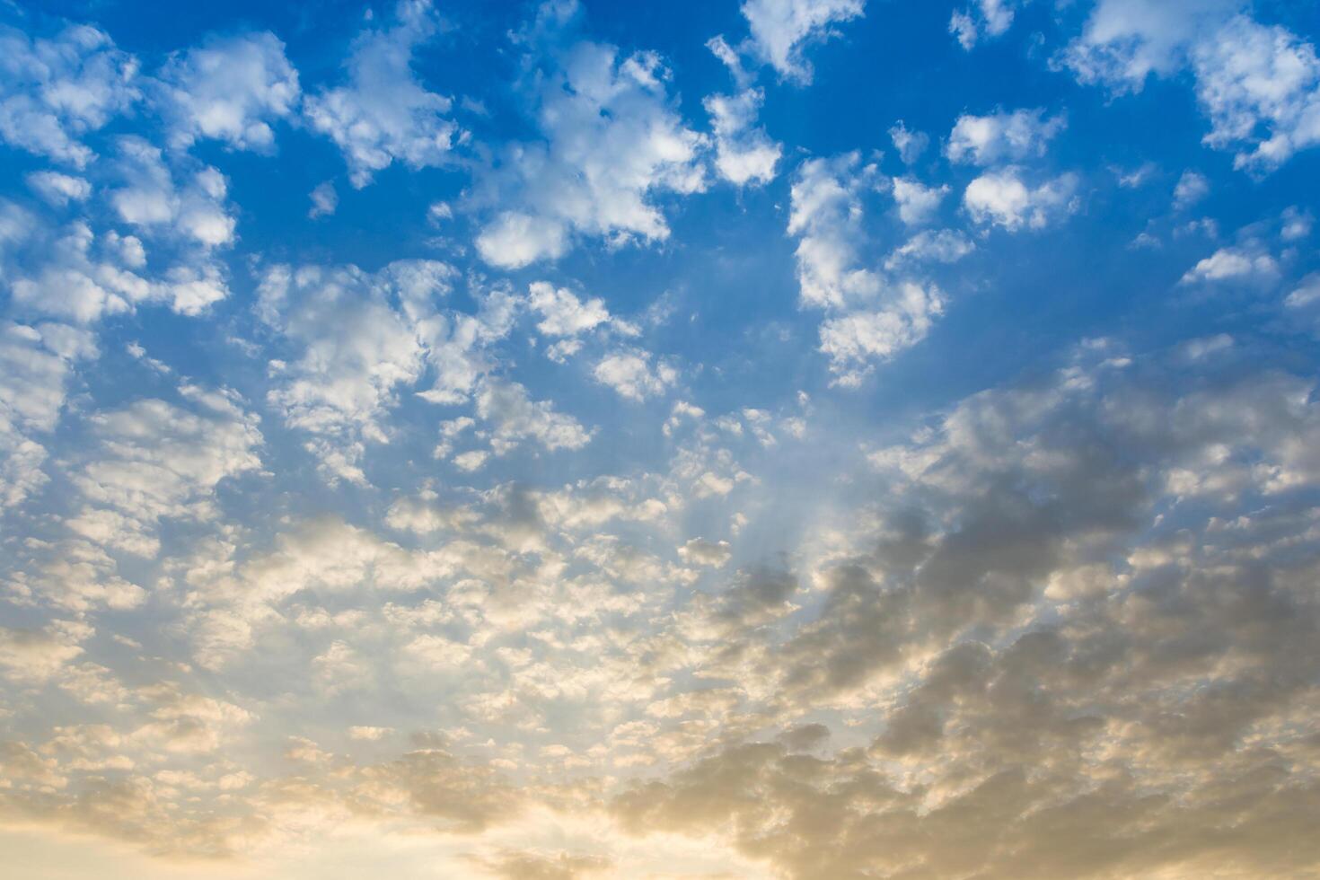 cielo al atardecer foto