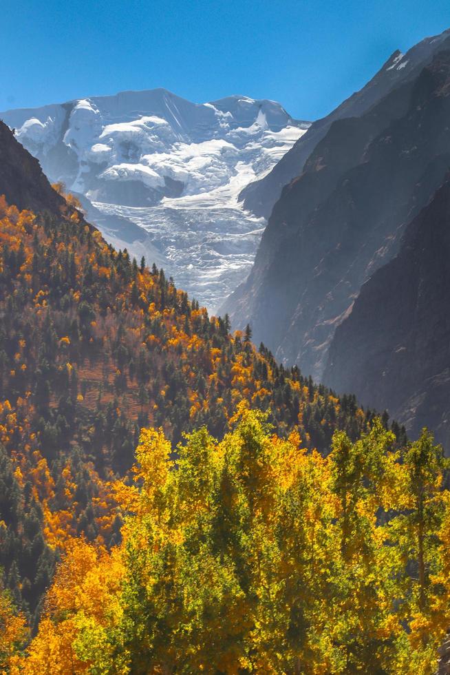 Autumn foliage and a snowcapped mountain photo